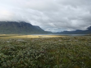 Landschaft kurz nach Check-Point Alesjaure