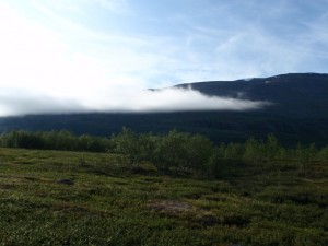 Früher Morgen in Abiskojaure