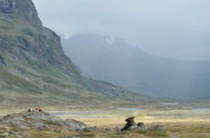 Rast im Fjäll