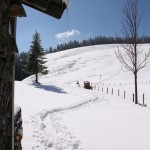 Blick auf den Gindelalm Schneid