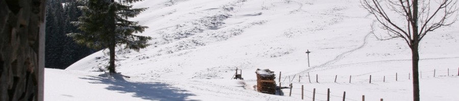 Blick auf den Gindelalm Schneid