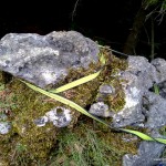 Kletter Spezial – Felsköpfl als mobiler Sicherungspunkt