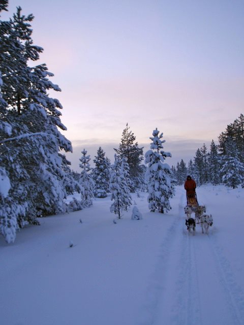 Zweistellige Minusgrade bei der Husky Schlittentour