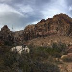 Tagesausflug zum Red Rock Canyon