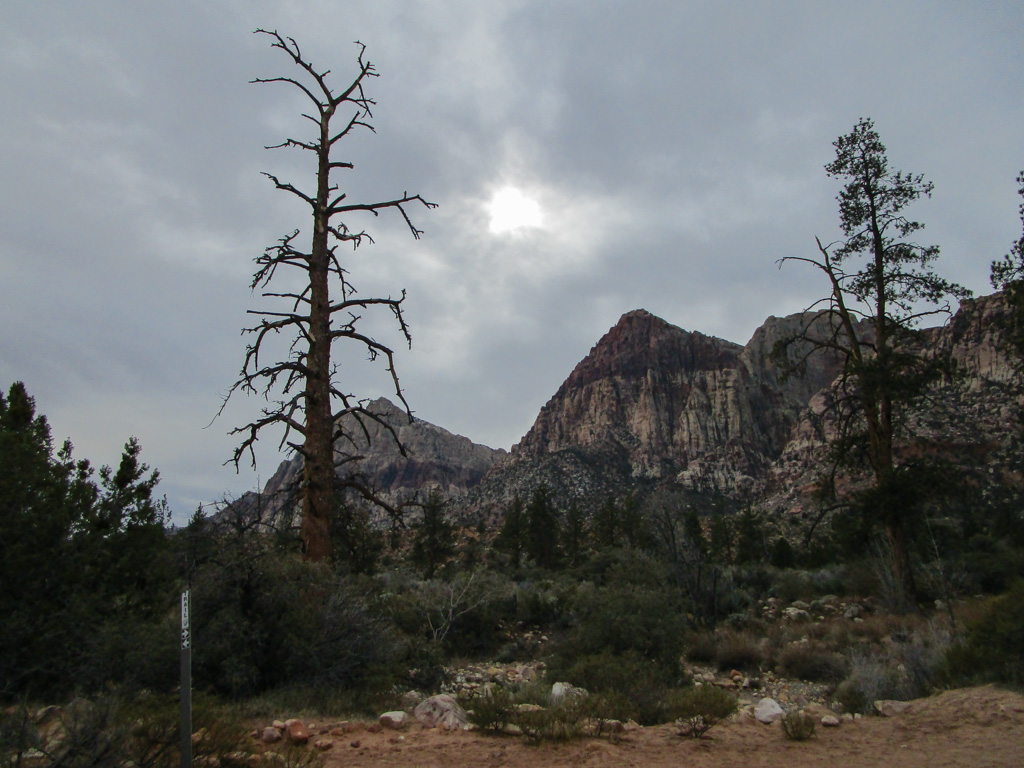 Red_Rock_Canyon-Pine_Creek_Canyon Stimmungsbild