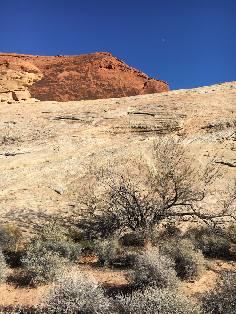 Valley of Fire - White domes loop